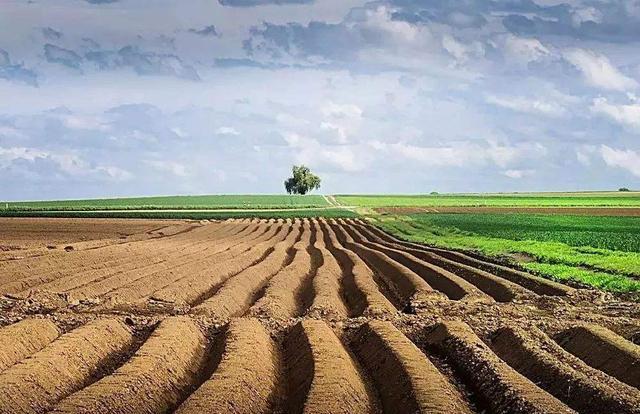 1611812298691179.jpg src=http-%2F%2Fn.sinaimg.cn%2Fsinacn20101%2F254%2Fw640h414%2F20190503%2F6489-hwfpcxn6469983.png&refer=http-%2F%2Fn.sinaimg.jpg