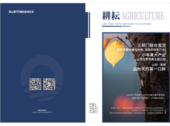 hahabet��(�й���)�ٷ���վ